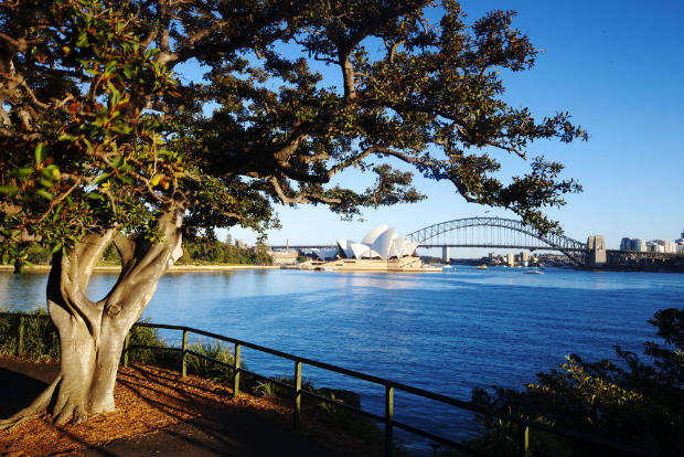 sydney Grant Associates