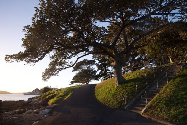 sydney Grant Associates