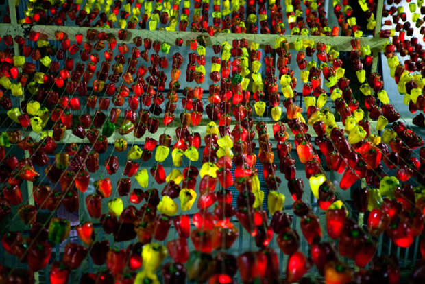 Luzinterruptus, peperonata