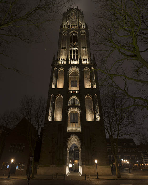 In Lumine Tuo James-Newton