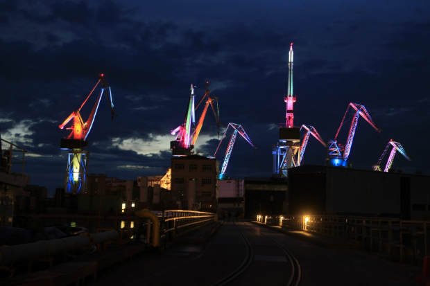 Skira Cranes photo Goran Sebelic