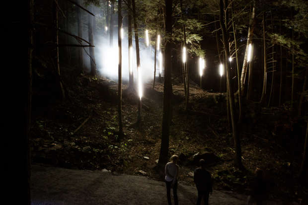 FORESTA LUMINA Moment Factory