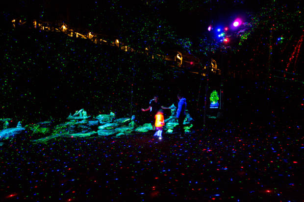 FORESTA LUMINA Moment Factory