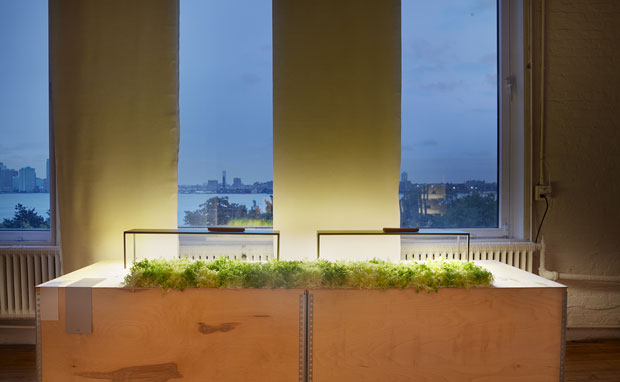 Banco-White-217_NYC-Light-Without-Sunlight_MartinaMaffini