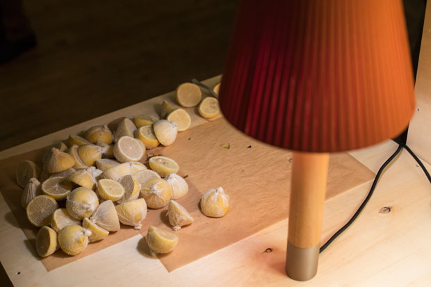 Basica-NYC-Light-Without-Sunlight_MatinZad_P3A2216