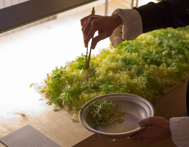 Blanco-White-NYC-Light-Without-Sunlight_MatinZad_P3A2061