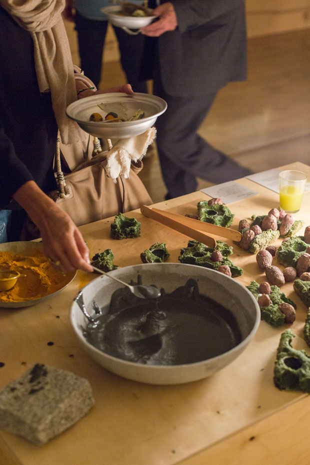 Cesta-NYC-Light-Without-Sunlight_MatinZad_P3A2210