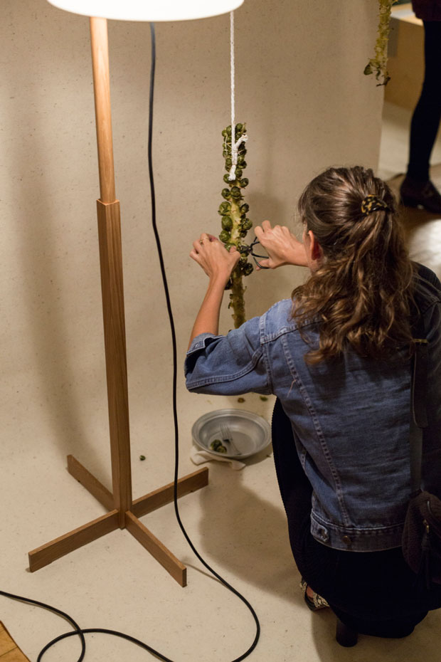 TMM-NYC-Light-Without-Sunlight_MatinZad_P3A2291