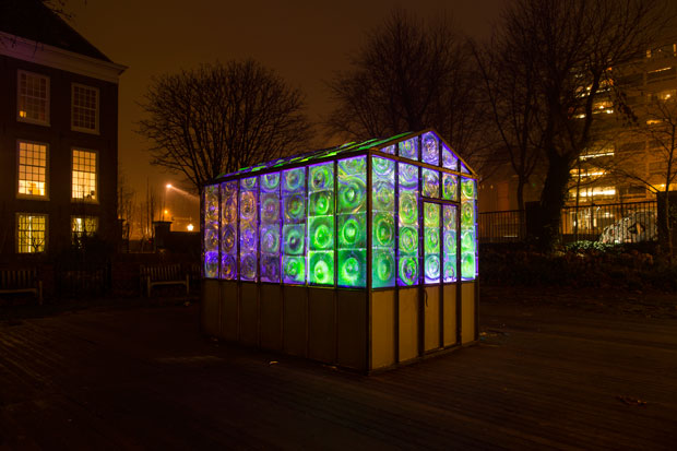 Amsterdam-Light-Festival-2016---Green-House---Victor-Engbers---Copyright-Janus-van-den-Eijnden-(1)