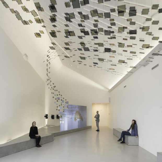 Digital Ornithology 1