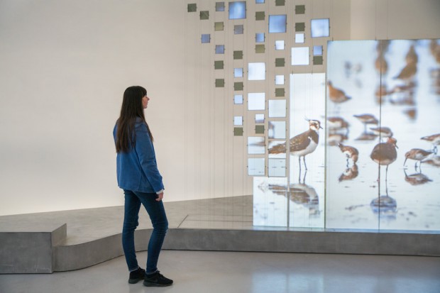 Digital Ornithology 3 Digital Ornithology Jason Bruges Studio