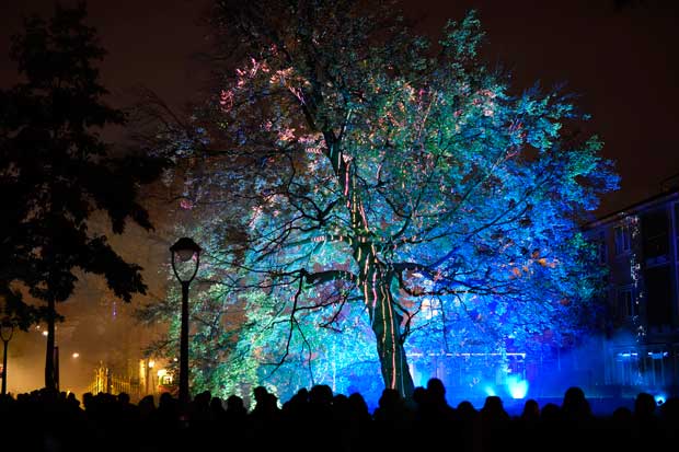 ROOT-Gijs-van-Bon_NV-Bart-van-Overbeeke-5-HR GLOW 2017