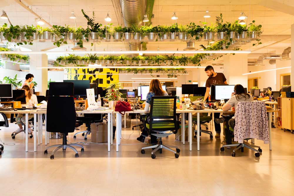 Greenpeace iluminacion sostenibilidad