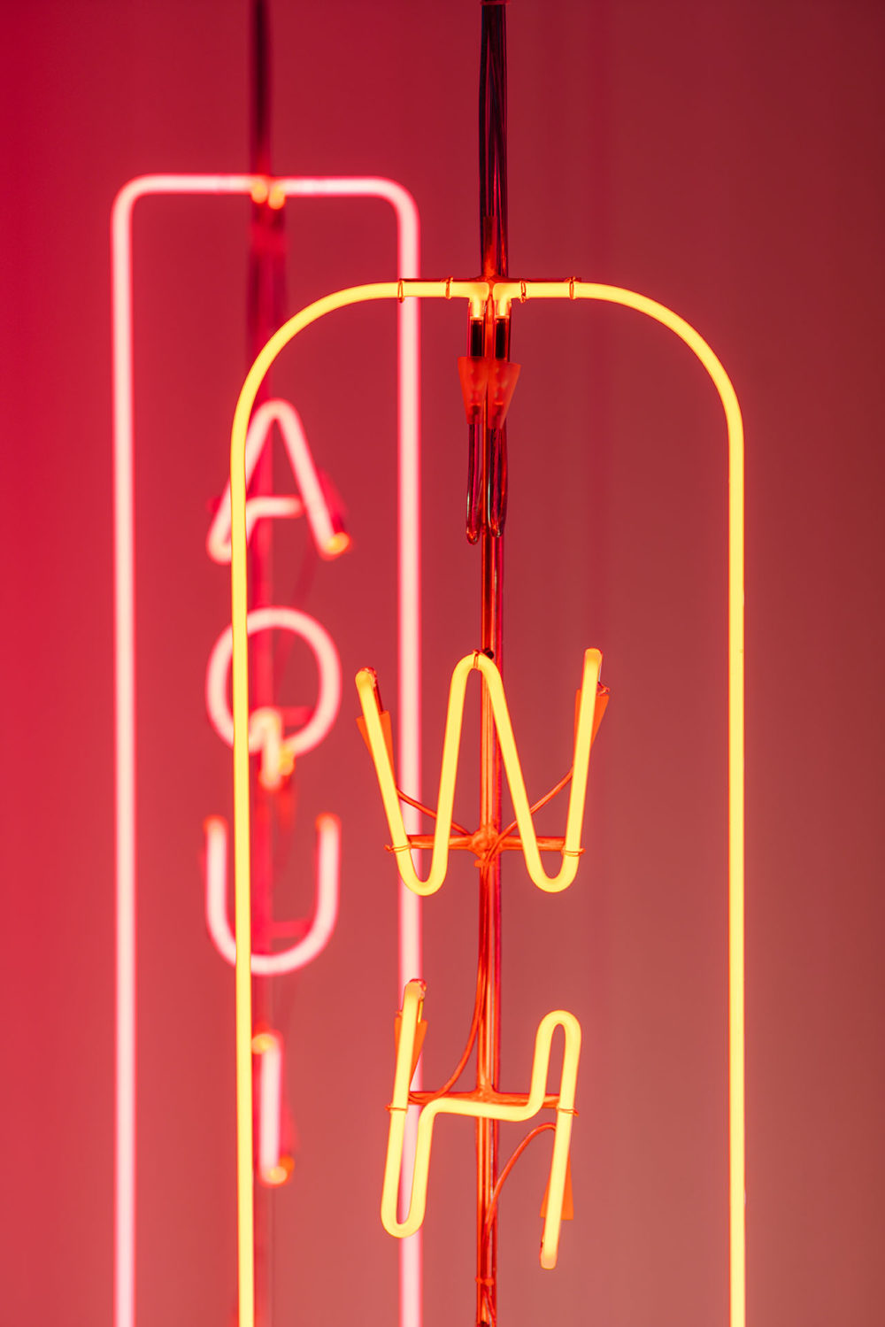 Brut Deluxe, bosques imaginarios en Berlín