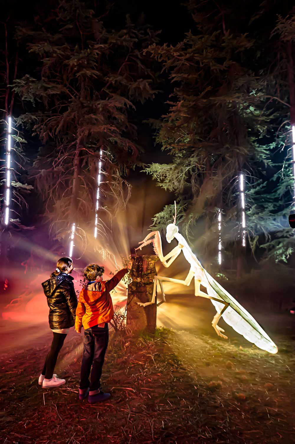 Naturaleza Encendida luces Navidad