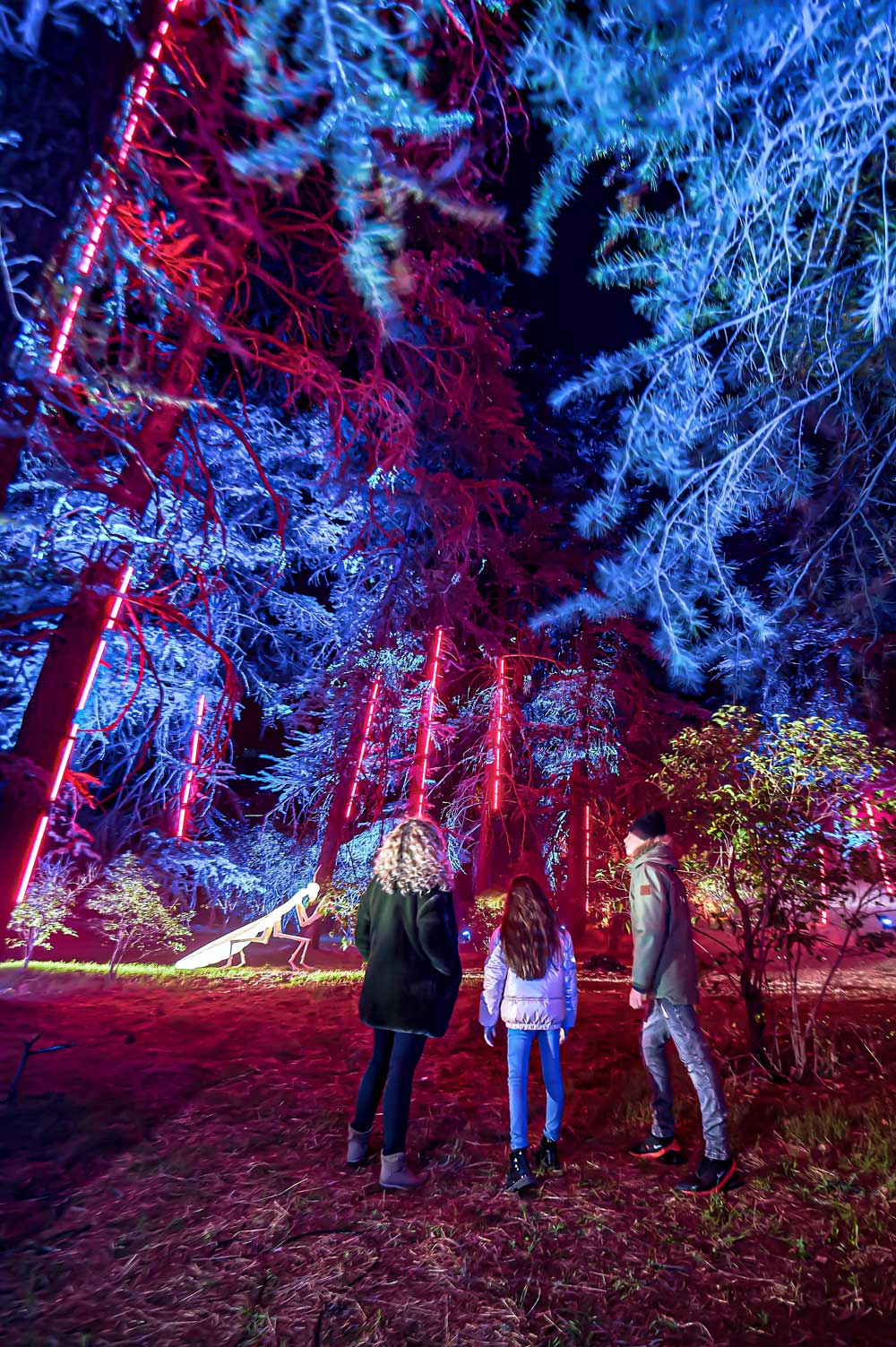 Naturaleza Encendida luces Navidad