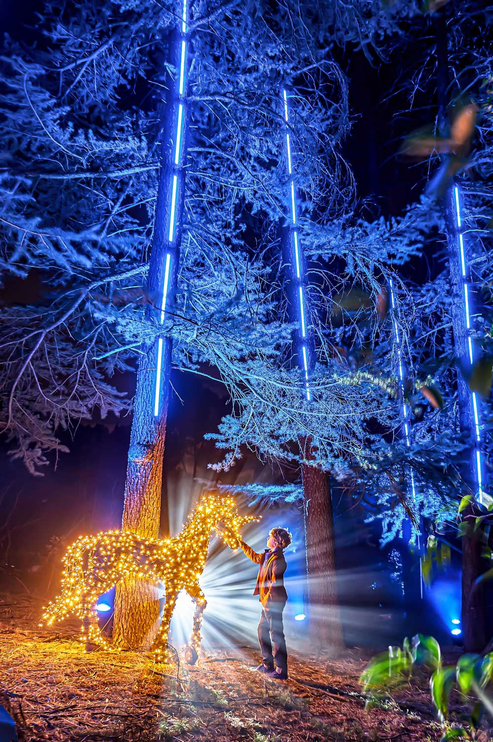 Naturaleza Encendida luces Navidad