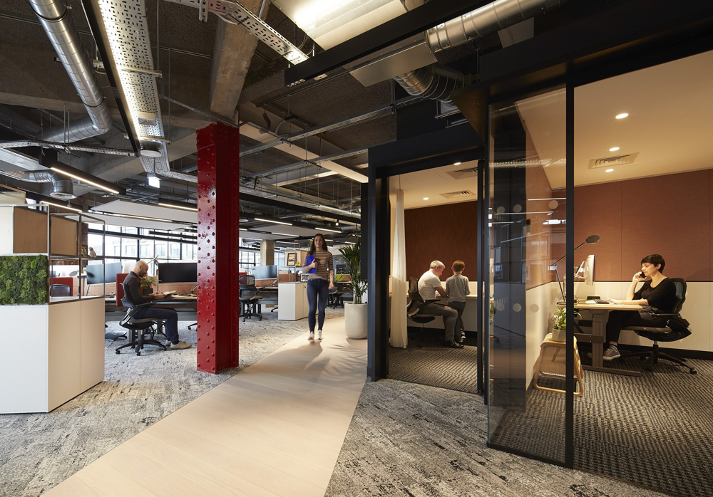 Nulty iluminacion oficinas
