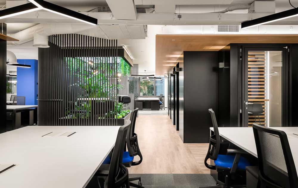 Eurofred-iluminacion-interior-oficinas-Manuel Torres