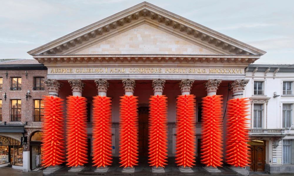 Vista general Cones de SpY, estética subversiva