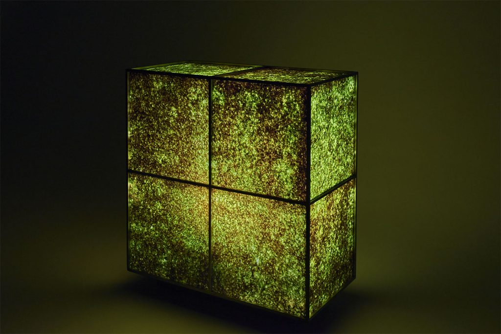 La línea sueña, Madrid Design Festival, iluminación