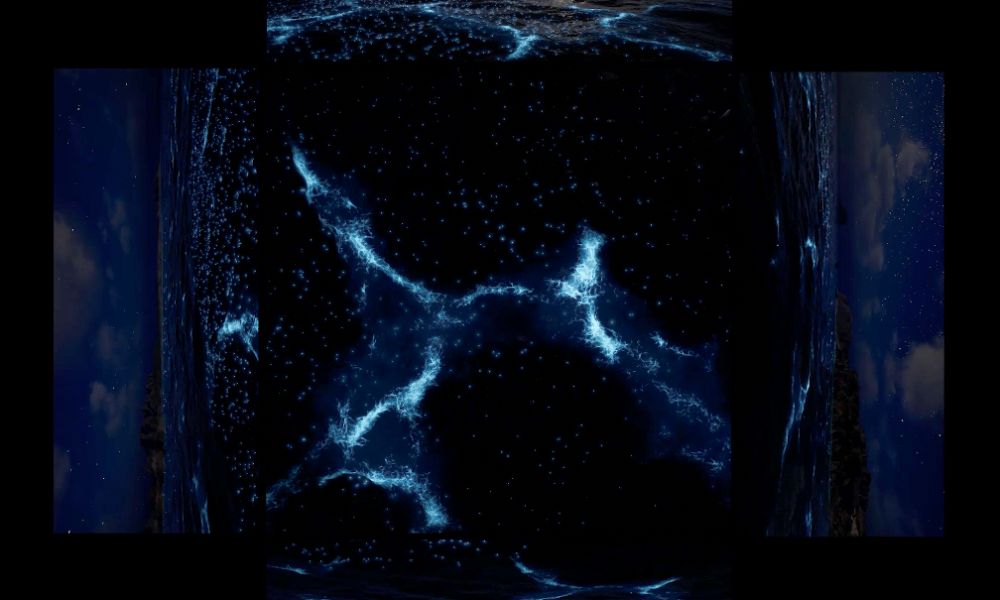 POSIDÒNIA de Xavi Bové Studio