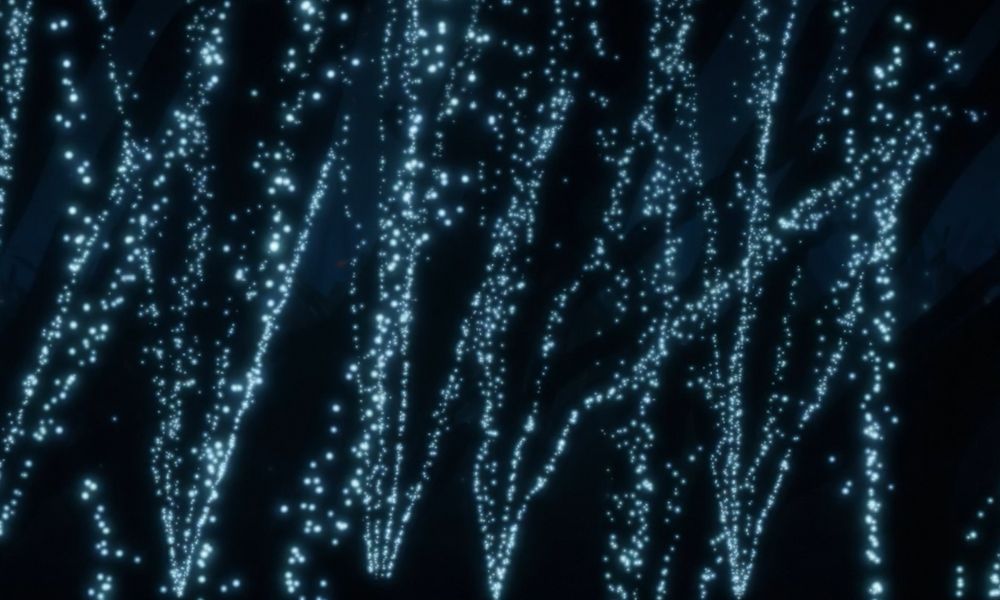 POSIDÒNIA de Xavi Bové Studio