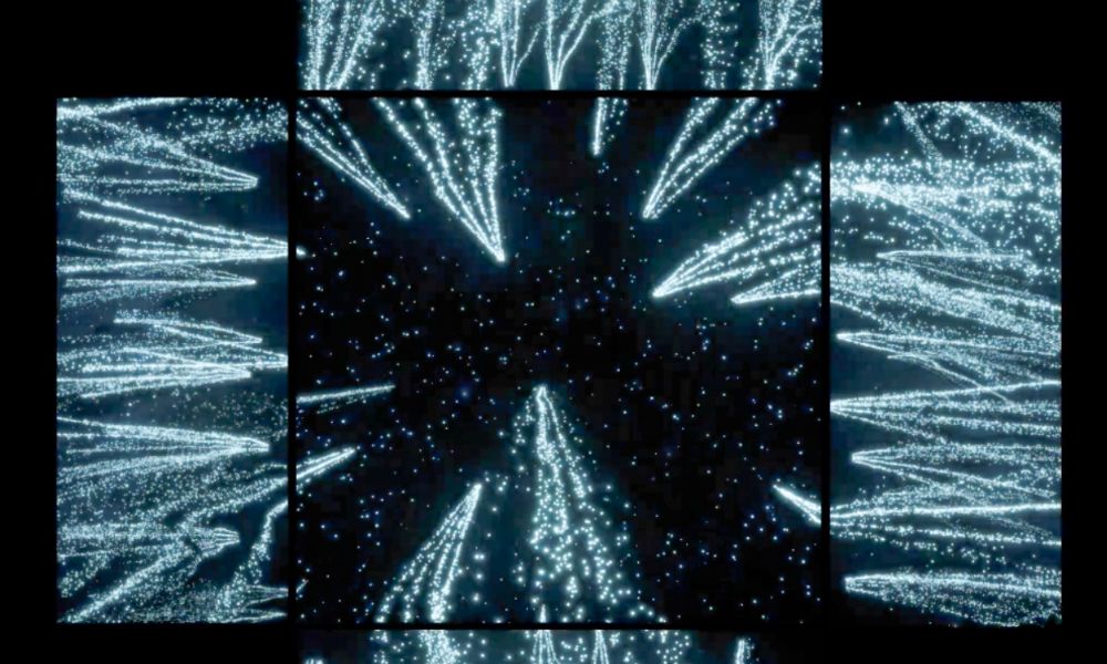 POSIDÒNIA de Xavi Bové Studio