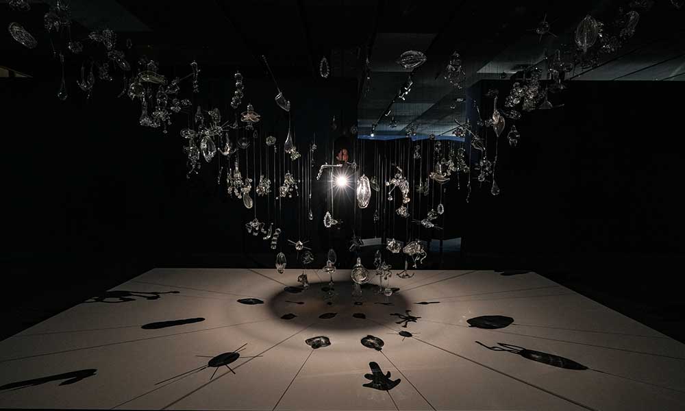 exposicion ecos del oceano