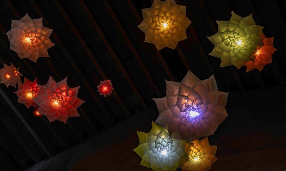 Drift en el MUSAC de León