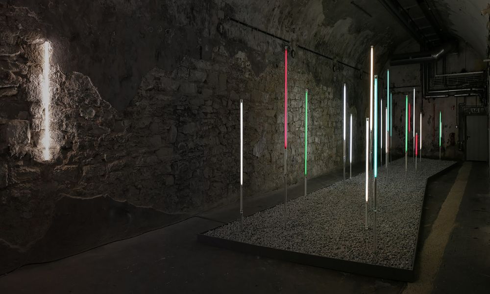 Andreas Schmid Lichtungen