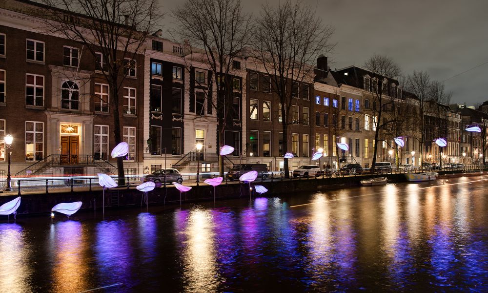 Amsterdam Light Festival In bloom