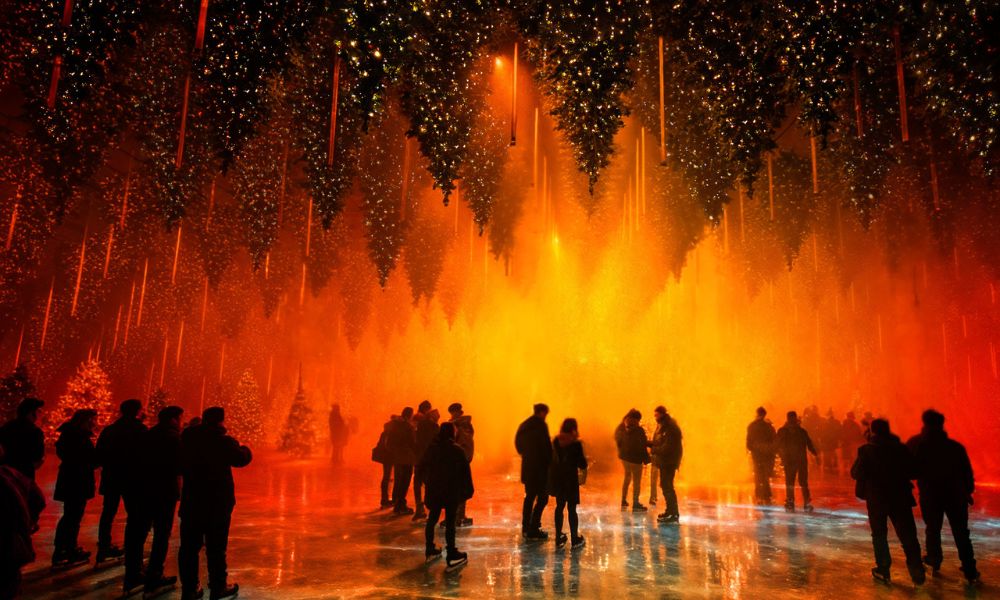 forest winterlights_bauder