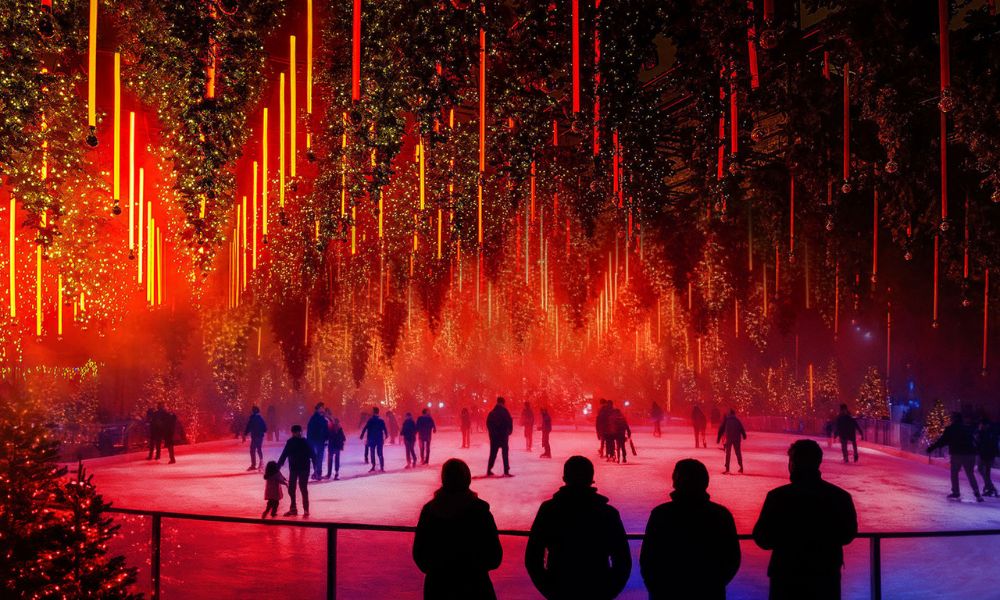 forest winterlights_bauder